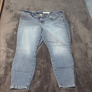 Torrid Jeans